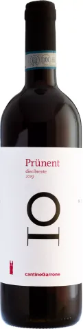 Nebbiolo Diecibrente 2019